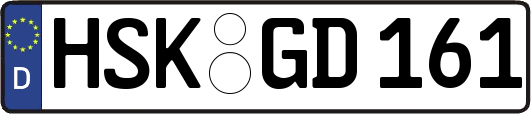 HSK-GD161