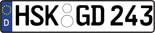 HSK-GD243