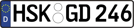 HSK-GD246