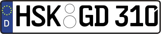HSK-GD310