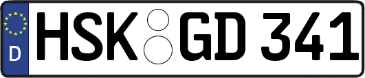 HSK-GD341