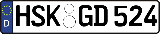 HSK-GD524