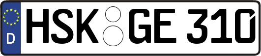 HSK-GE310
