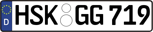 HSK-GG719