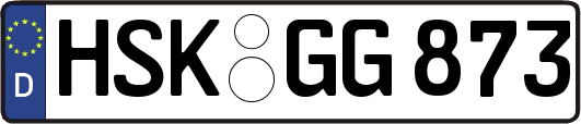 HSK-GG873