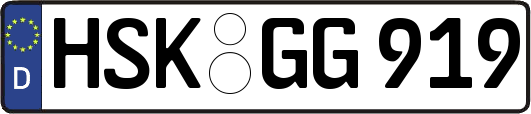 HSK-GG919