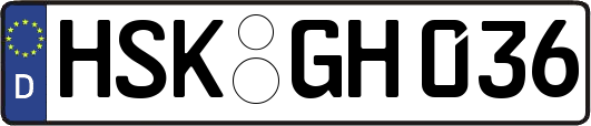 HSK-GH036