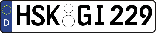 HSK-GI229