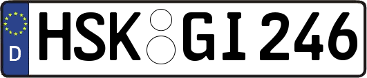 HSK-GI246