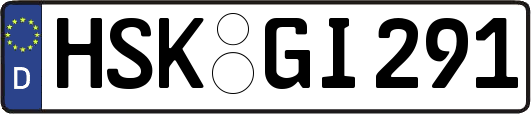 HSK-GI291