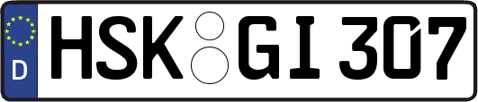 HSK-GI307