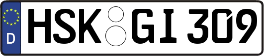 HSK-GI309