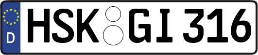 HSK-GI316