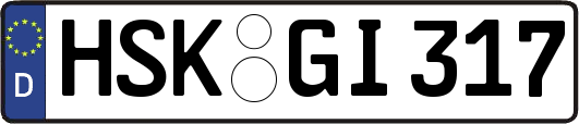 HSK-GI317
