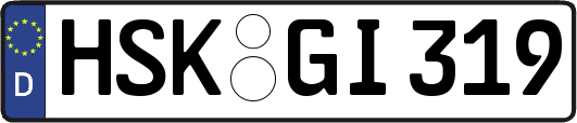 HSK-GI319