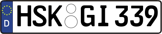 HSK-GI339