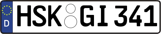 HSK-GI341