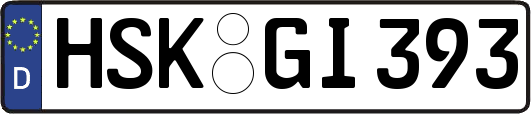 HSK-GI393