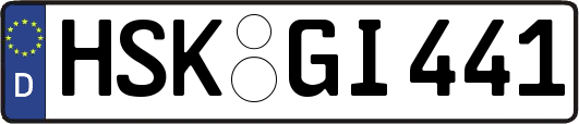 HSK-GI441
