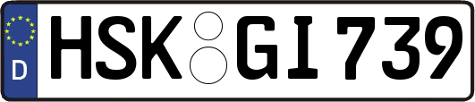 HSK-GI739