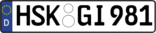 HSK-GI981