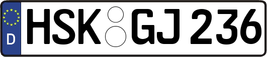 HSK-GJ236