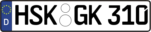 HSK-GK310