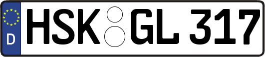 HSK-GL317
