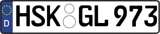 HSK-GL973