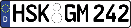 HSK-GM242