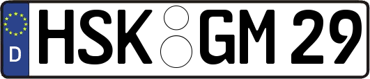 HSK-GM29