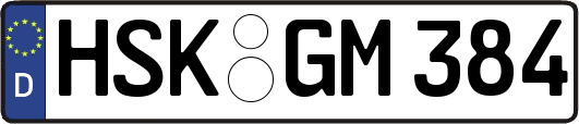 HSK-GM384