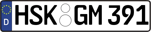 HSK-GM391