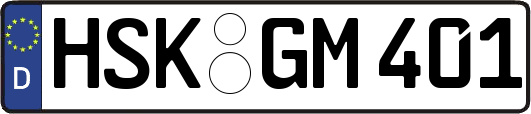 HSK-GM401
