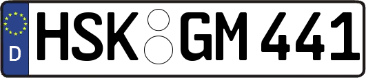 HSK-GM441