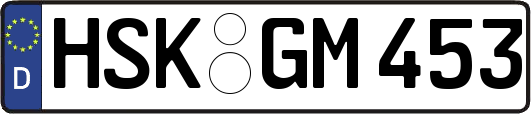 HSK-GM453