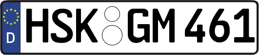 HSK-GM461