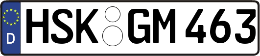 HSK-GM463