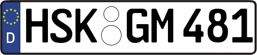 HSK-GM481