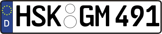 HSK-GM491