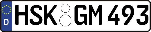 HSK-GM493