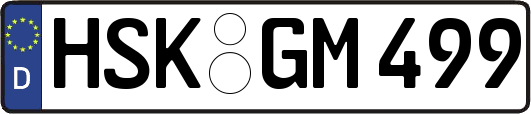 HSK-GM499