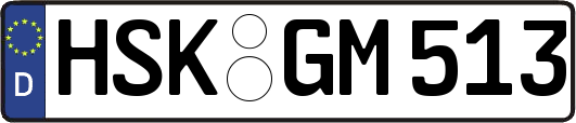 HSK-GM513