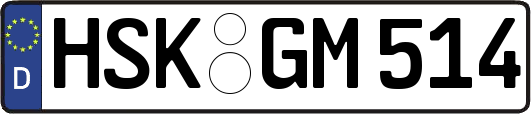 HSK-GM514