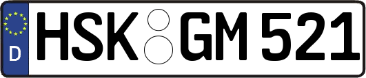 HSK-GM521