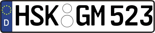 HSK-GM523