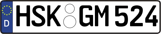 HSK-GM524