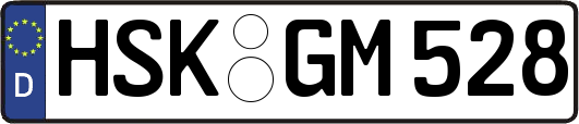 HSK-GM528