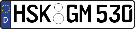 HSK-GM530