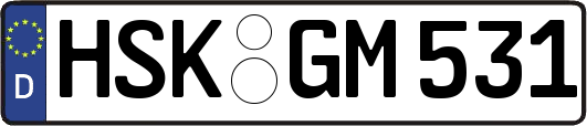 HSK-GM531